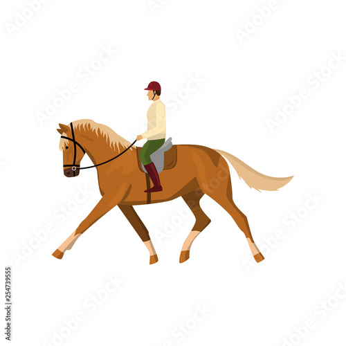 Man riding brown jogging horse isolated against white background