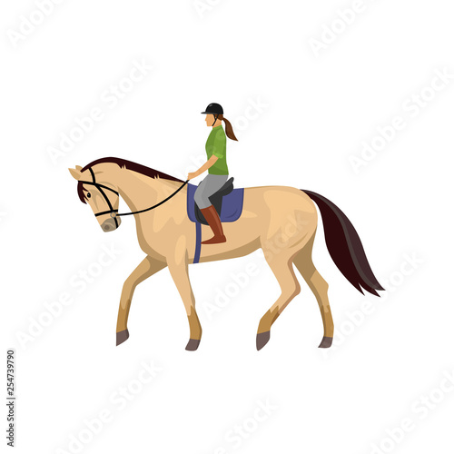 Horsewoman riding roan horse isolated against white background