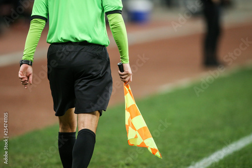 Details of a linesman referee