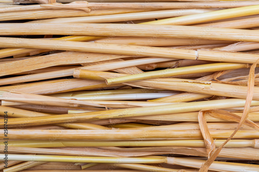 Straw texture (collection of vegetable and natural fibers). Foreground. Straw texture (collection of vegetable and natural fibers). Foreground.