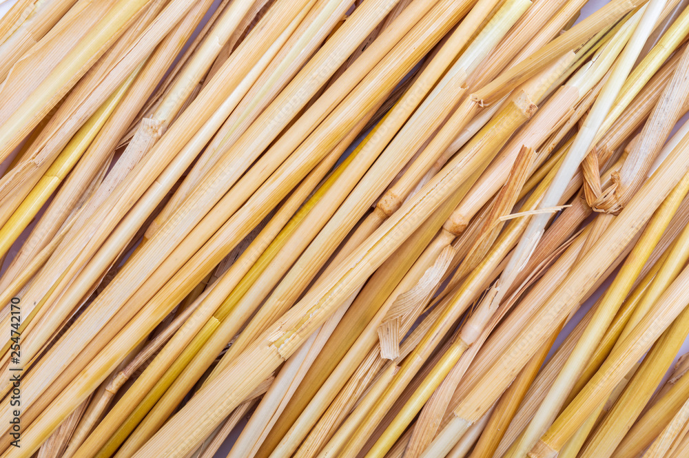 Straw texture (collection of vegetable and natural fibers). Foreground. Straw texture (collection of vegetable and natural fibers). Foreground.