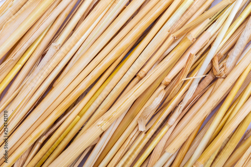 Fototapeta Naklejka Na Ścianę i Meble -  Straw texture (collection of vegetable and natural fibers). Foreground.