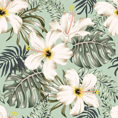 Fotobehang Hibiscus patronen Witte hibiscus monstera groene jungle  © ojardin