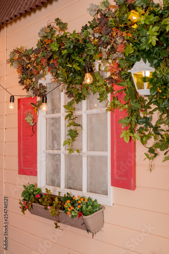 Ivy wrapped window of house. wildlife plants home window climb. Retro lantern in arch of wild grapes, building with sprawling liana.climbing plant on window outside.wall of leaves. Classical lantern