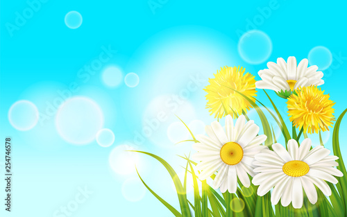 Spring flower daisy juicy, chamomiles yellow dandelions green grass background Template for banners, web, flyer. Vector illustration isolated.