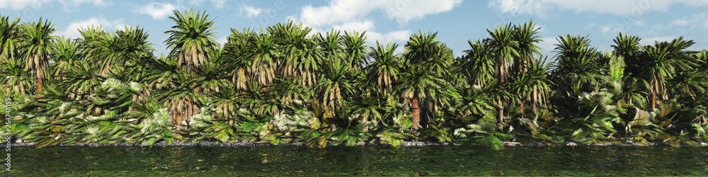 Obraz premium Panorama of palm trees over the water, tropical trees in a row