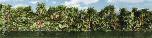 Panorama of palm trees over the water  tropical trees in a row