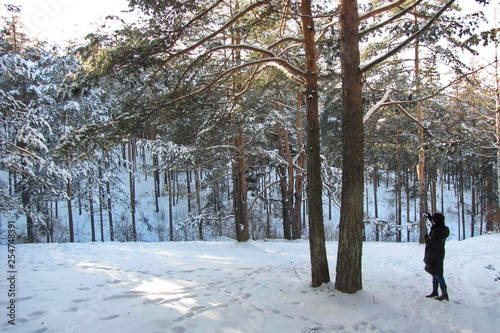 Landscape of Zlatibor Mountain in Winter, Serbia