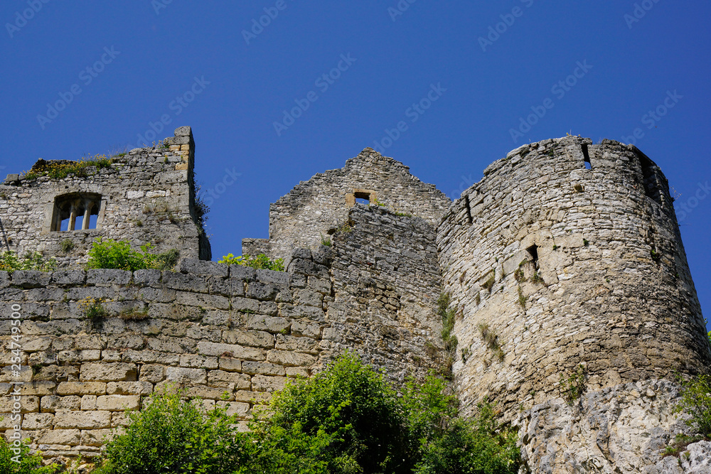 facade of castle ruin in german countryside