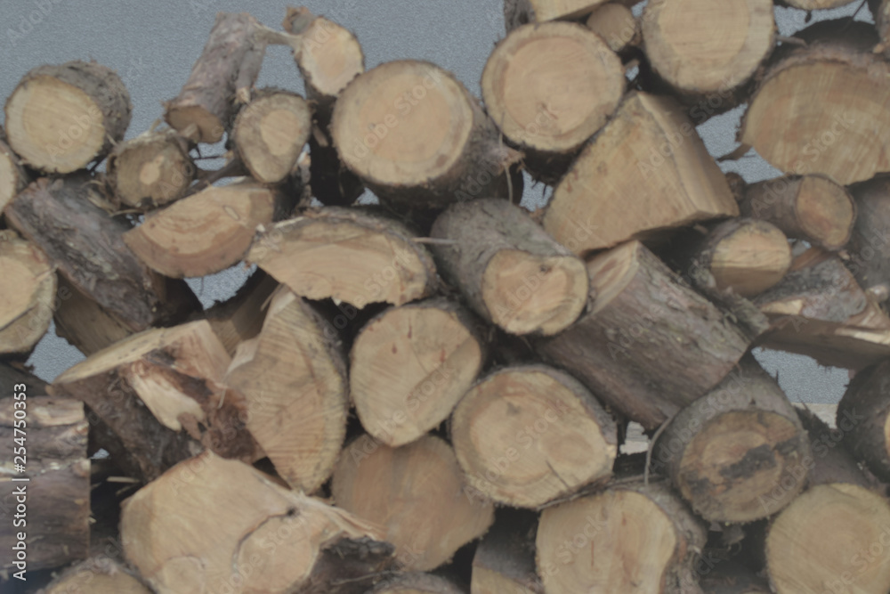 Pile of wooden logs Pile of wooden logs