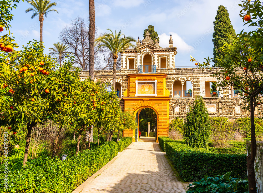 Fototapeta premium Jardin de l'Alcazar à Séville en Andalousie, Espagne
