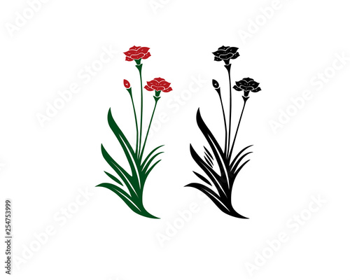 color and black orchid