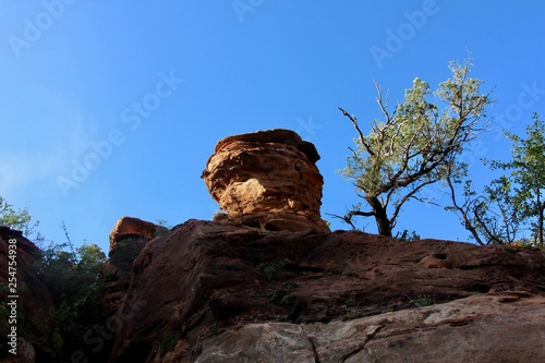 Single eroded boulder in Zion National Park.