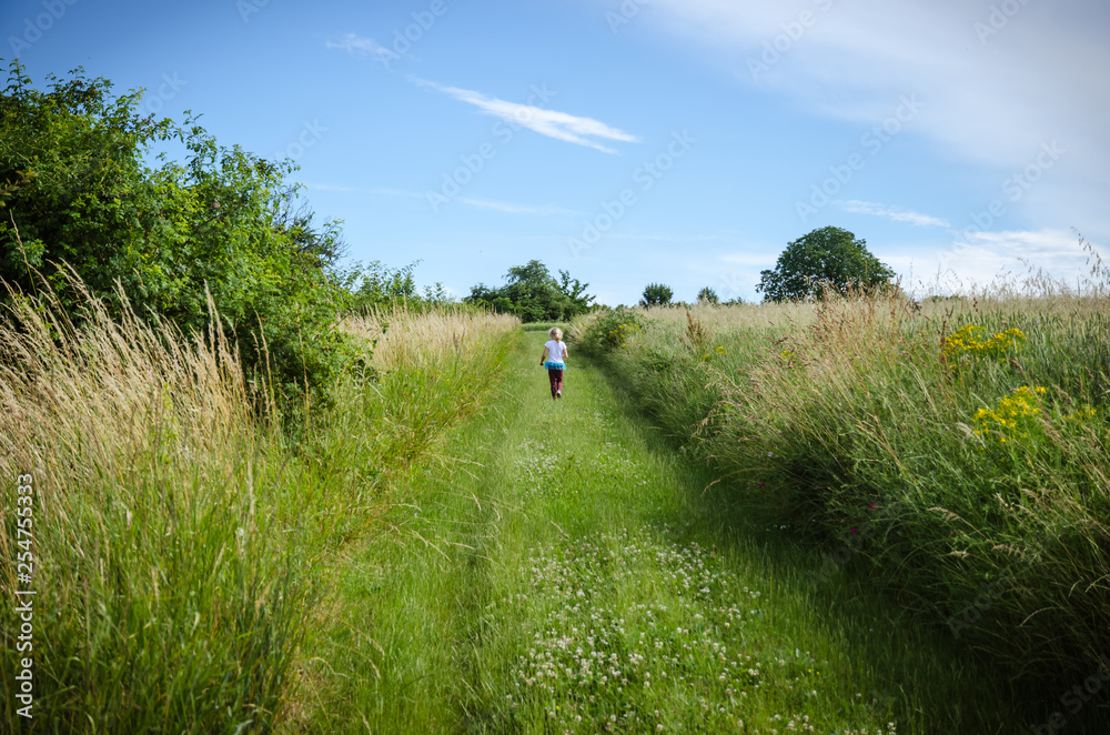rural path throught green meadow