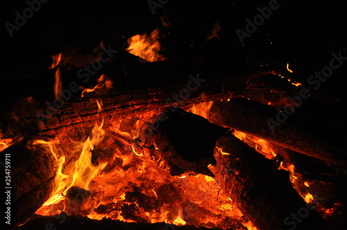 fire wood