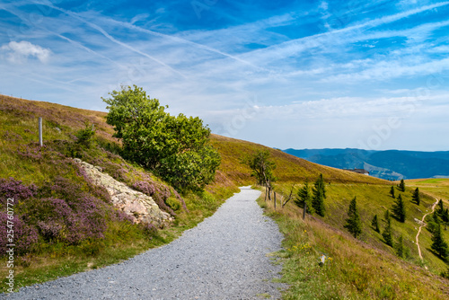 Unterwegs auf dem Belchen im Südschwarzwald