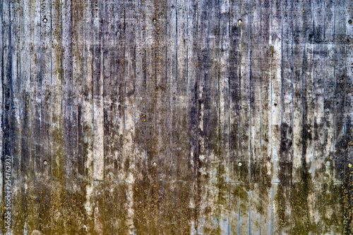 wall with mold and fungus