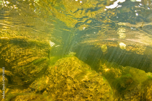 Underwater freshwater landscape © VJ