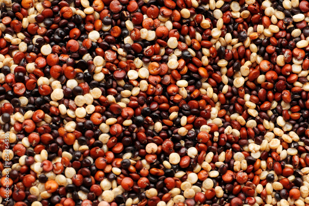 Quinoa background, white, red, black Quinoa background, white, red, black
