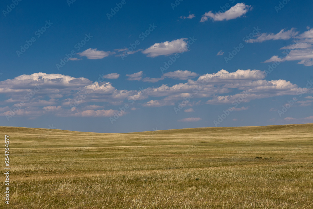 wyoming wyoming