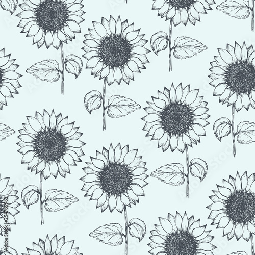 Retro seamless pattern with outline ink pen sunflower sketch on tender blue background. Hand drawn illustration of beautiful sun flower  texture for textile  wrapping paper  surface