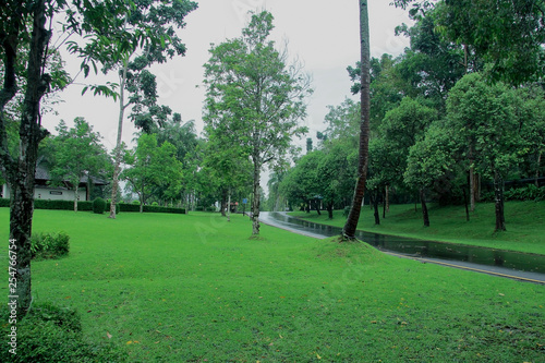 view park with green grass and wet road