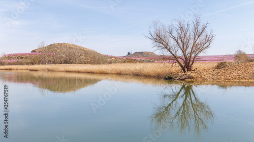 Early Spring Landscape with Tree Reflectring on a Pond
