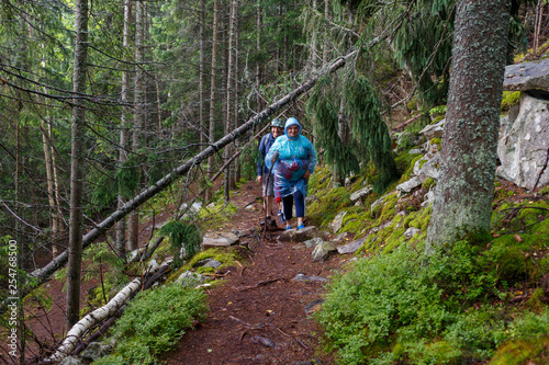 Group of senior tourists hiking in rainy forest