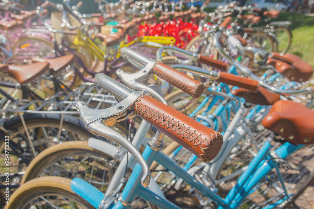Multicolored vintage bikes stand in a row. Transport