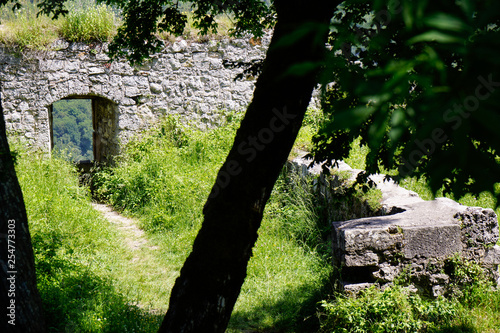 tree and medieval walls and gate of castle