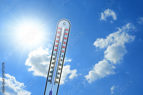 Thermometer 113