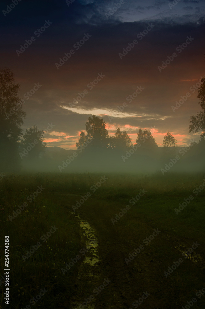 Sunset. Swamp. Evening fog/mist. Horror Mystic landscape. Special effect