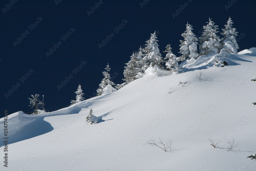 青と白の世界　透明感 空気感のある雪山の風景