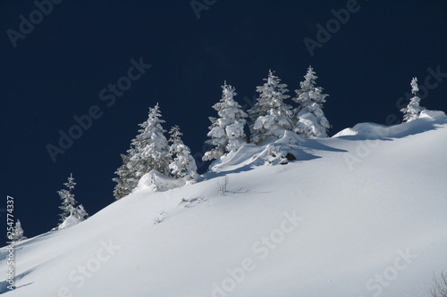 青と白の世界　透明感 空気感のある雪山の風景 © DONDON2018