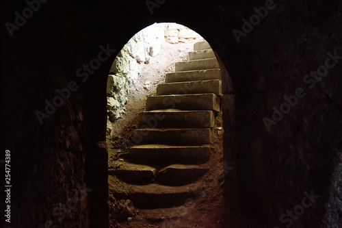 exit of vaulted cellar in castle ruin in summer