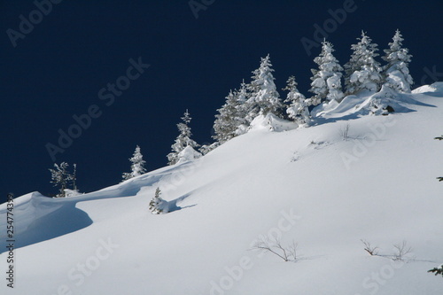 青と白の世界 透明感 空気感のある雪山の風景