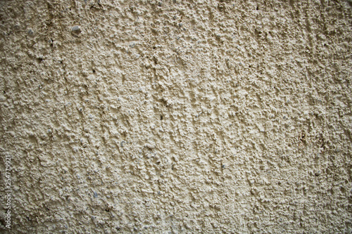 texture of a wall