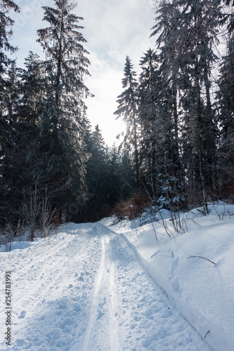 Foto Oberlausitz, Jonsdorf: in der Loipe