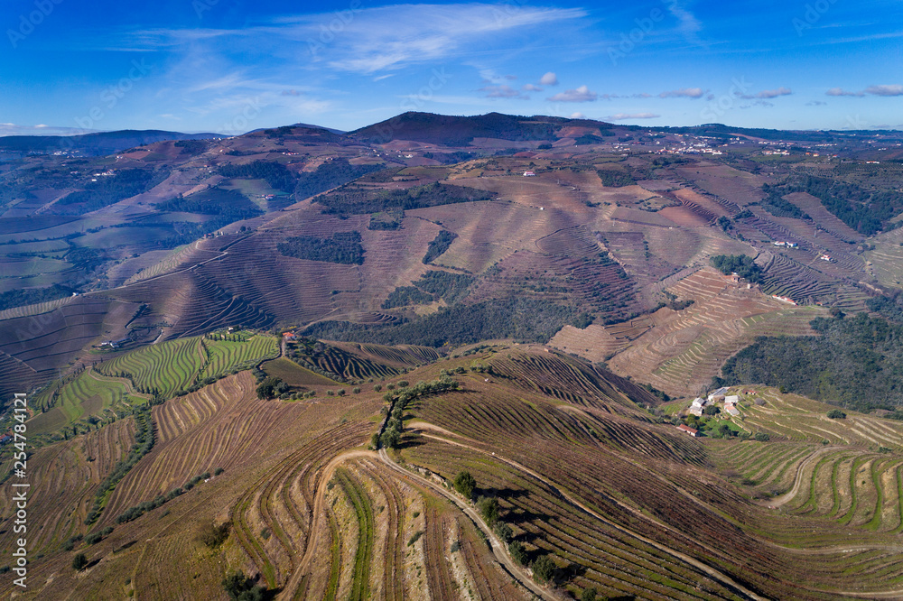 Aerial view of the terraced vineyards in the Douro Valley near the village of Pinhao, Portugal; Concept for travel in Portugal and most beautiful places in Portugal