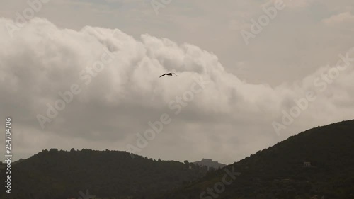 A Seagull flies over a sea bay in a cloudy and windy day
