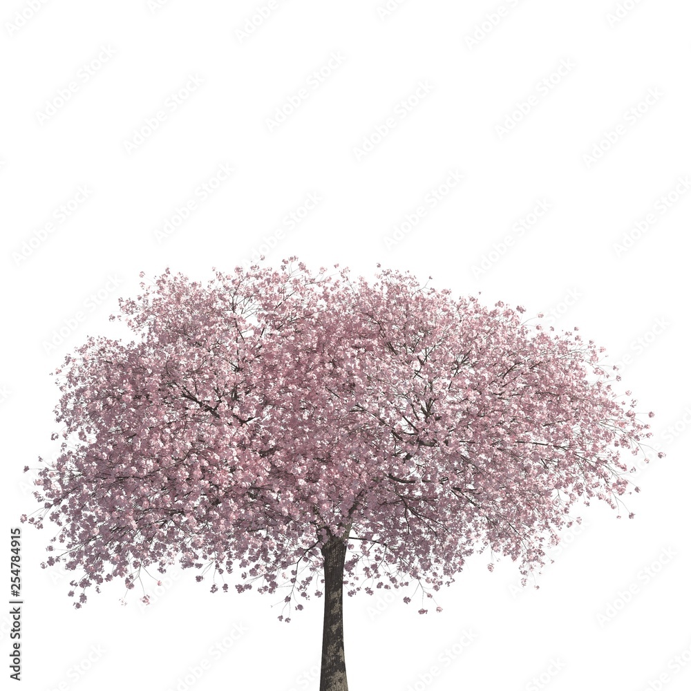 Fototapeta premium Tree 3d illustration isolated on the white background