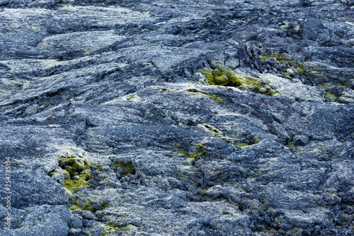 Fels im Krafla-Lavafeld, Myvatn, Island