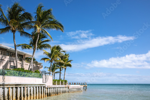 Building with palm trees by the ocean under a blue sky. Ocean view.