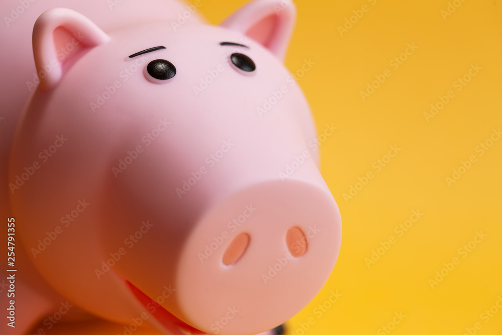 close up of piggy bank with copy space close up of piggy bank with copy space