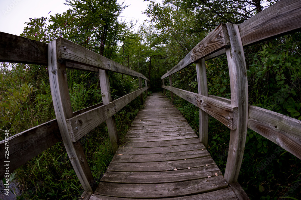 Fish eye view of rickety bridge over bog Fish eye view of rickety bridge over bog