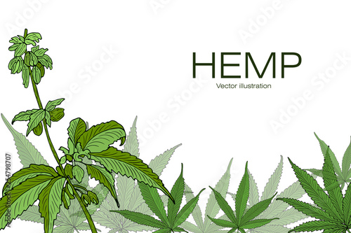 Template hemp
