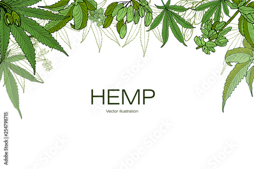 Template hemp 3 photo