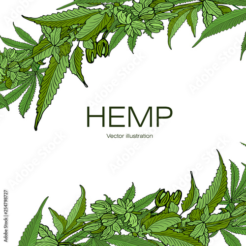 Template hemp 2