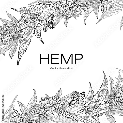 Template hemp 2 BW