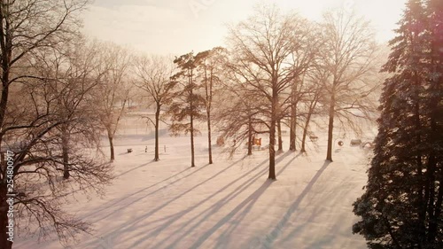 Wallpaper Mural Trees and Field in Snowy Park at Sunrise FLY IN SLOW MOTION Torontodigital.ca